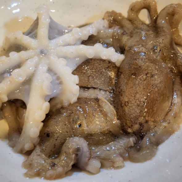 [고흥_산지직송] 생생 쭈꾸미 1kg(10~15마리)