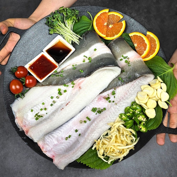 [백억] 자포니카 풍천장어 450g/550g/650g/750g 최상급 민물장어