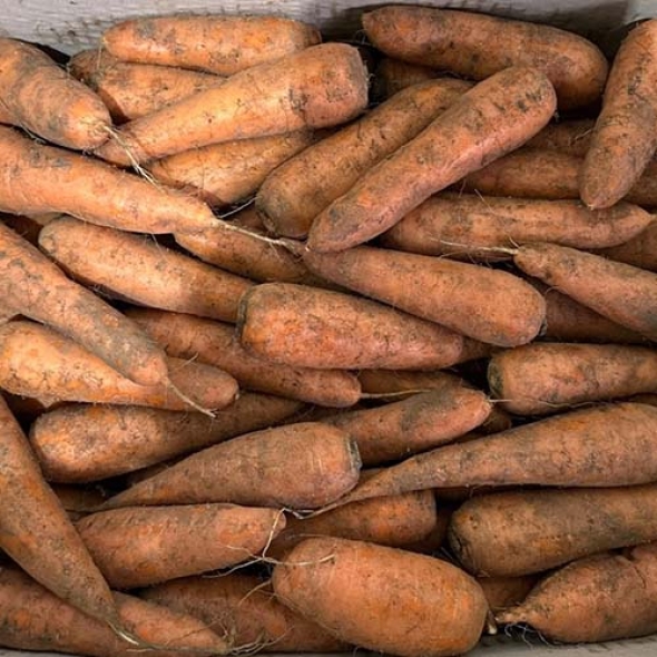 [신한카드 할인][흙이음] 제주 구좌 흙당근 상 2kg / 3kg / 5kg / 10kg