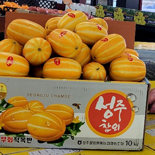 [부엌애] 성주 고당도 꿀참외 중과 3kg/5kg
