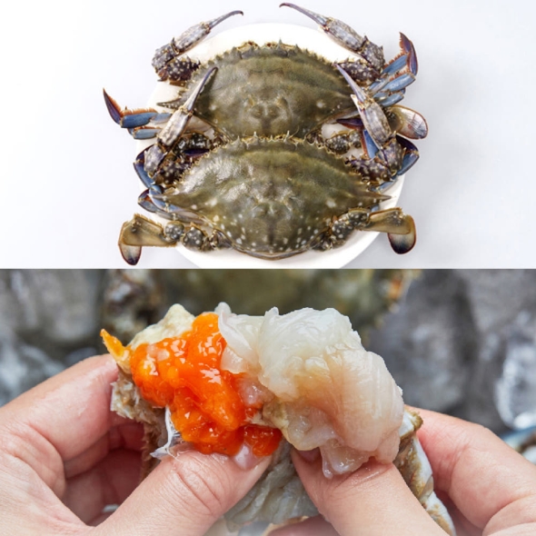 [형원수산] 서해안 당일조업 신선한 활 암꽃게 1kg (3미-5미) 