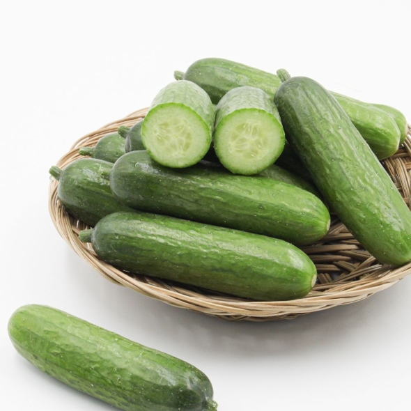 [오커캄스] 작은 미니오이 피클리노 10개입 20개입