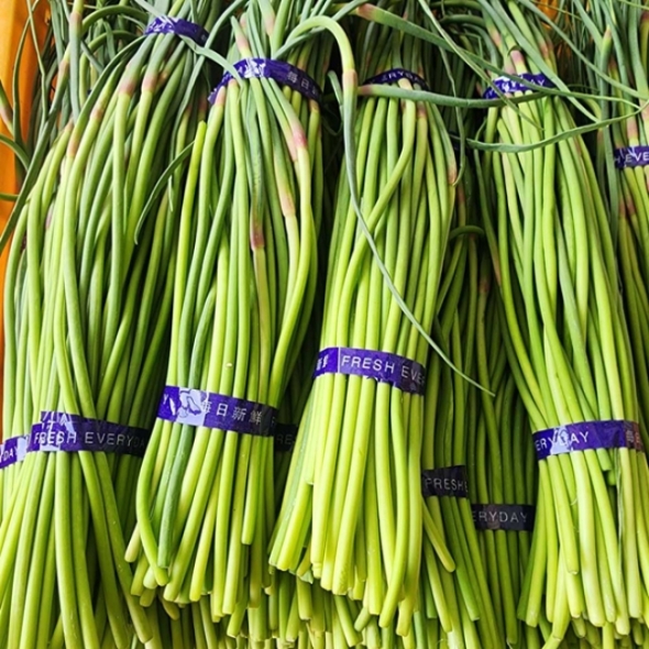 [산지직송] 국내산 햇 마늘쫑 특상품 [200g-2kg]