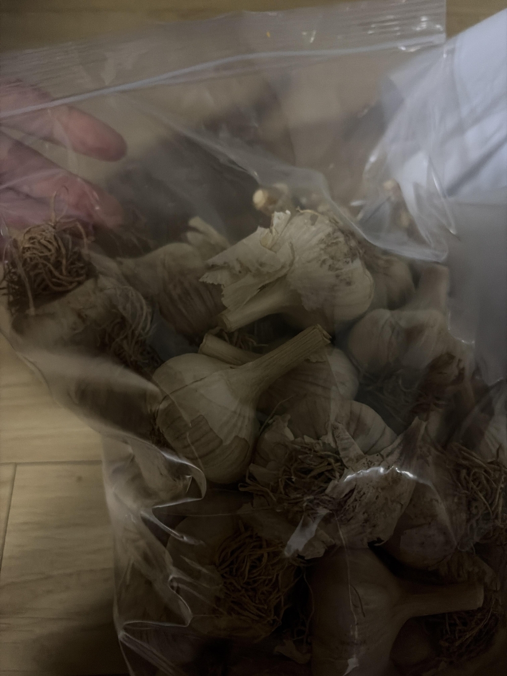 (26년산) 서산농부의 홍산마늘 4cm 이상 3kg / 5kg / 10kg GAP 인증 서산산지 토종마늘 햇마늘 초록마늘 통마늘 