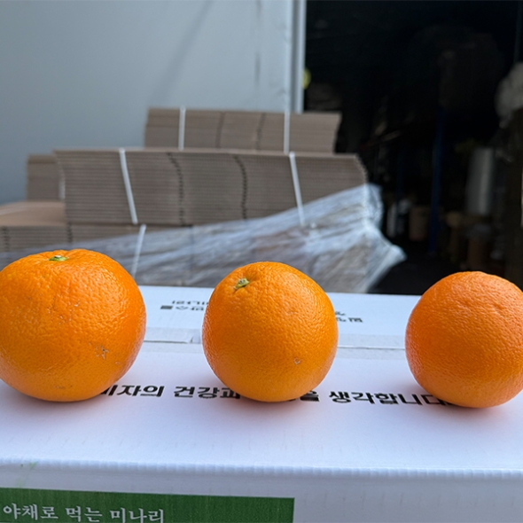 퓨어스펙  블랙라벨  오렌지(푸)