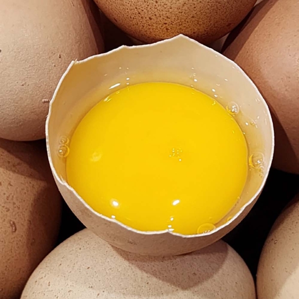 건강한  닭이  낳은  [난각 1번] 무항생제 유정란  15구/30구/45구