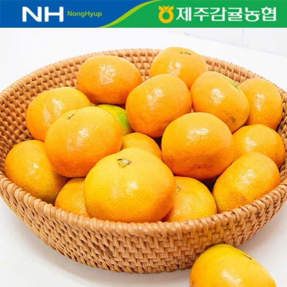 [제주감귤농협/당도선별] 고당도_상급 불로초_3kg [로얄과(2S~M)] [선물용]