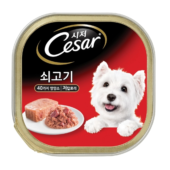 시저 애견 캔사료 소고기 100gx24캔