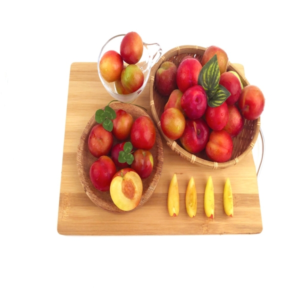 [산지직송] 새콤하고 달콤한 국내산 하우스 자두(300g/500g/1kg/1.5kg)