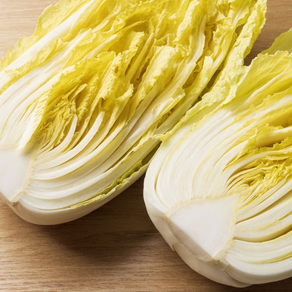 전라도 노랑이 햇쌈배추( 1kg/1.5kg/2kg)