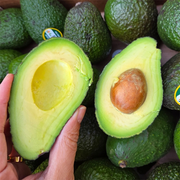 [만원의 행복] 검붉은 껍질속 뽀얀 속살의 아보카도(푸)