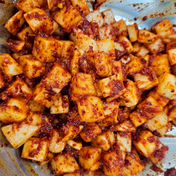 제주 월동무 깍두기(푸)