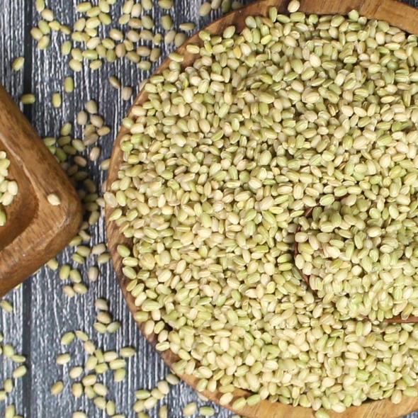 (25년산) 홍성농부의 찰녹미 1kg 직접도정