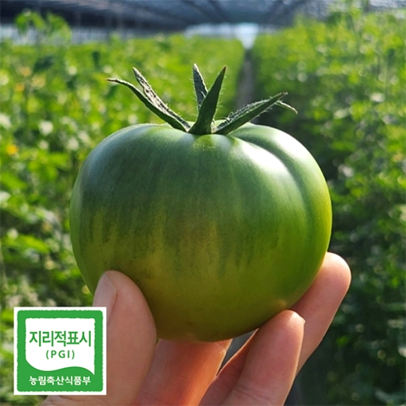 [보름데이] 높은당도 프리미엄 대저 토마토(푸)