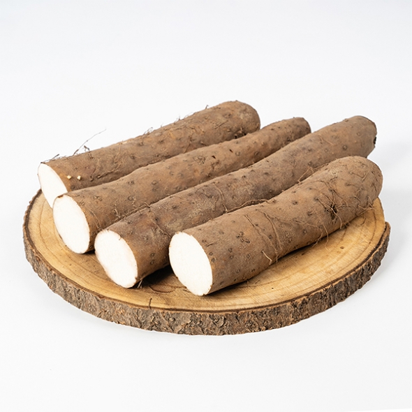 비옥한 흙에서 비롯된 신선한 산마,장마(푸)