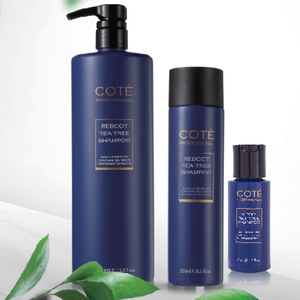 [보름데이] 미국 코티 COTE  리부트 티트리  샴푸 50/250/1000ml 