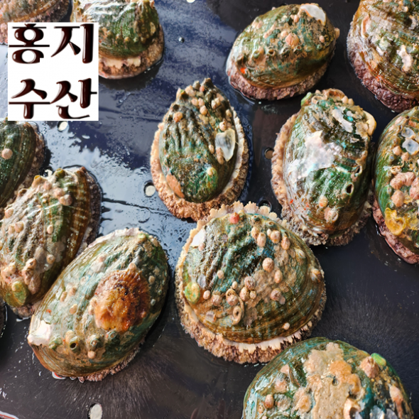 홍지수산 7-9미 대사이즈 활전복 산소포장 1kg 50여가지 합배송