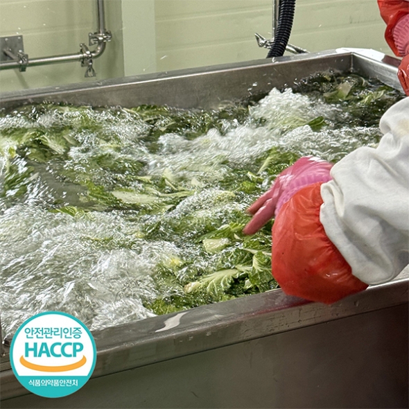 [보름데이] 전라도의 맛 봄동 겉절이(푸)