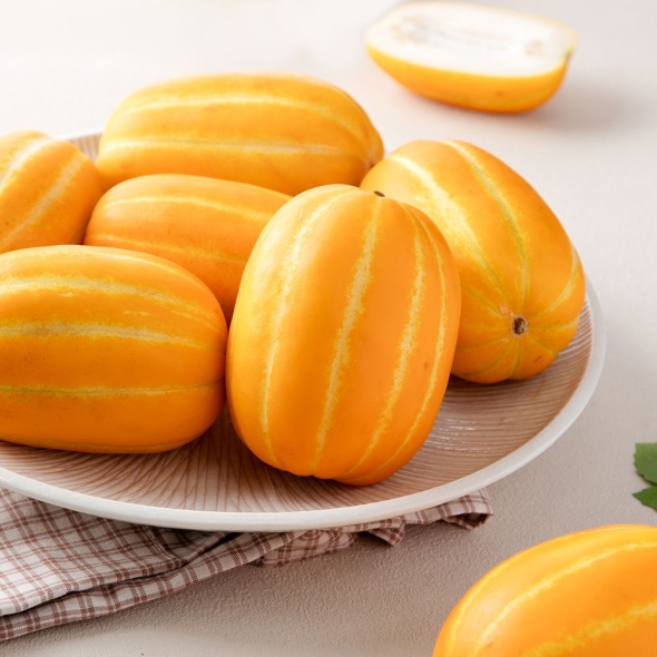 [과일] 과즙가득 수분가득 가정용 성주참외 1kg/2kg/3kg/5kg