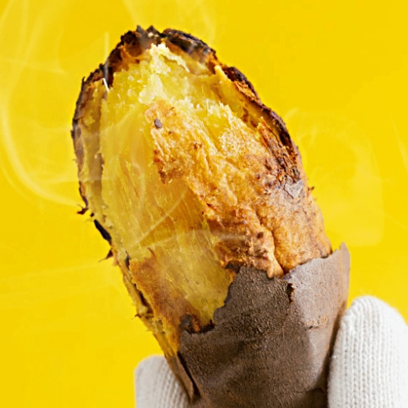 [농협] 한아름드린 세척 꿀고구마 2kg/3kg/5kg/10kg(특상/100-300g)