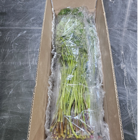 [신한카드 할인] 청정지역이 키워낸 청도미나리