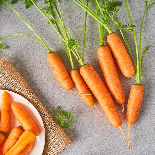 [만원의 행복] [당근최고] 앙증 스낵 당근 500g ~ 3kg 사이즈 혼합