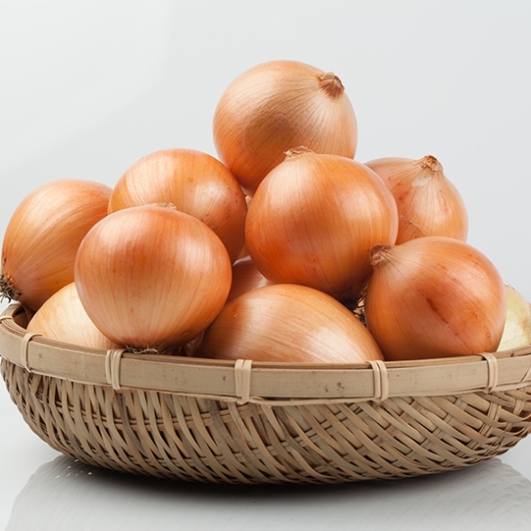 [오커최고] 양파 햇 하얀양파 1kg 2kg 3kg 5kg 소 중 특 사이즈