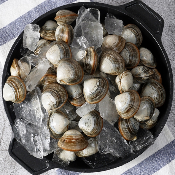 자연산 남해  활  바지락(푸)