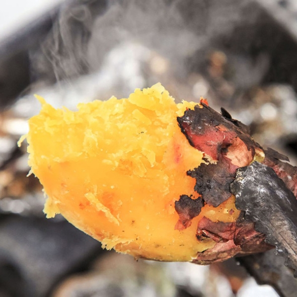 [해남 황토_세척] 베니하루카_호박 고구마 [3kg-10kg][한입/중/특상/대]