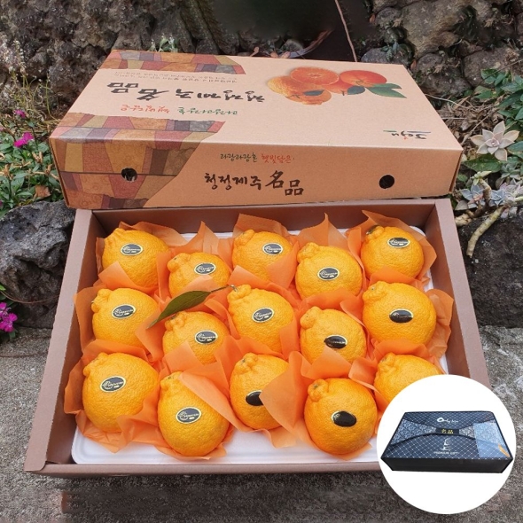 [★특별할인]새콤달콤 감귤 제주 꿀 한라봉 프리미엄 고당도 선물세트 3kg 5kg