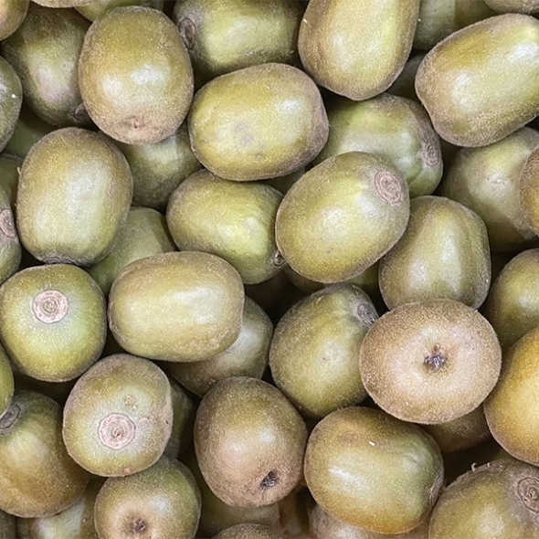 차원이 다른 맛과 당도 프리미엄 레드키위(푸)