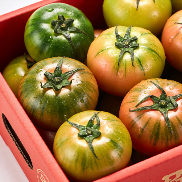 [대저토마토] 정통부산 대저토마토 특품 2.5KG