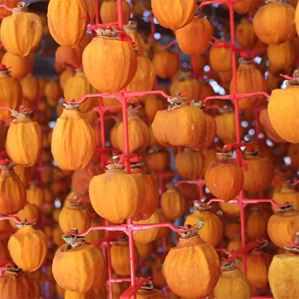 [선물세트]  프리미엄 선물세트 반건시&건시 곶감(푸)