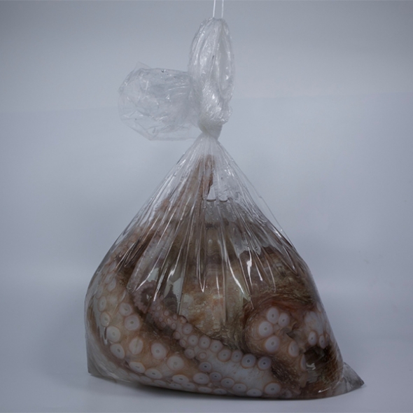 탄탄한 육질 통영 돌문어(푸)