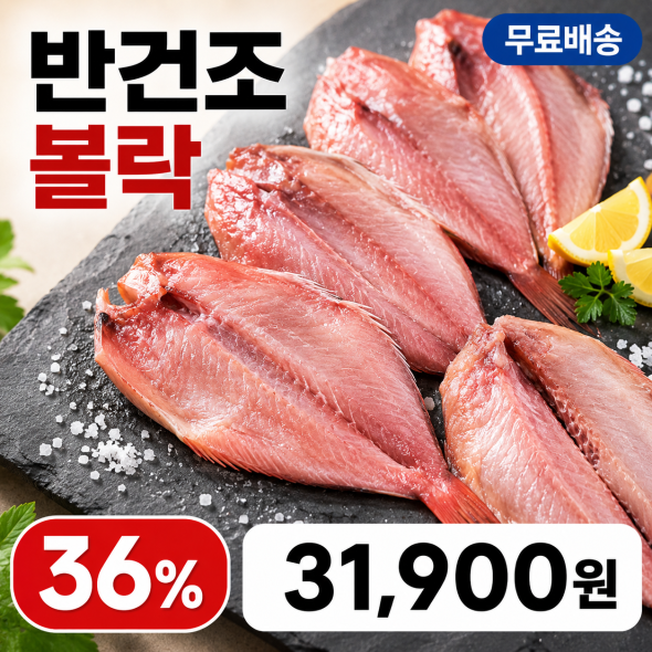 반건조 볼락 