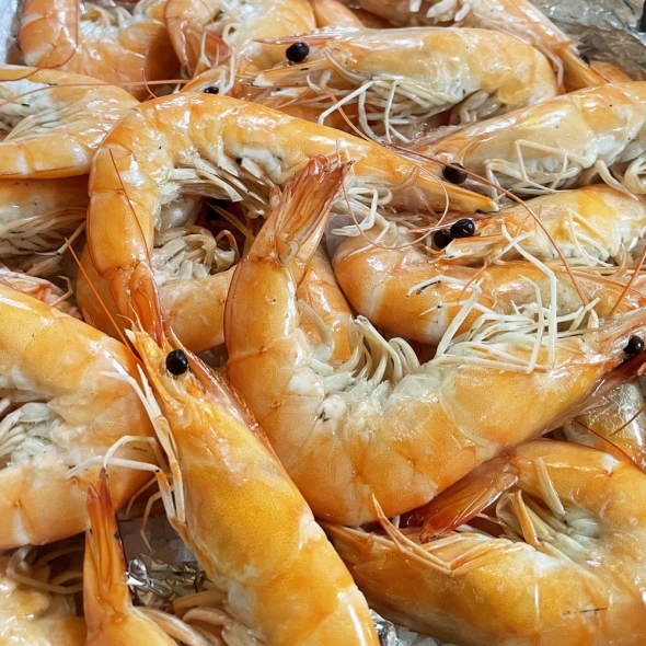 [오커브팜] 흰다리 새우 활새우 500g 1kg
