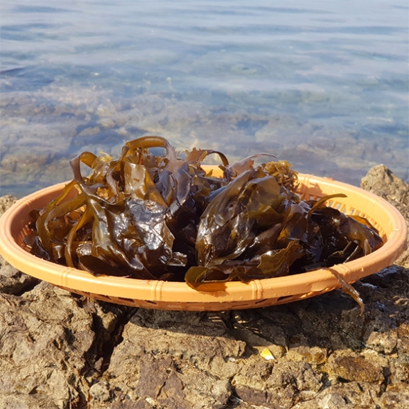 [신한카드 할인] 꼬들 꼬들 완전  맛있는  생미역