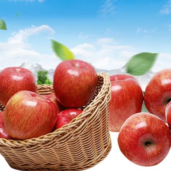 [햇살로] 신선한 사과 2kg(13~17과_소과) / 5kg(30~42과_소과)_흠집과