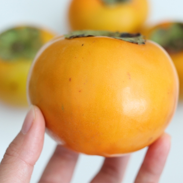 [오커최고] 국내산 부유 단감 1kg 2kg 3kg