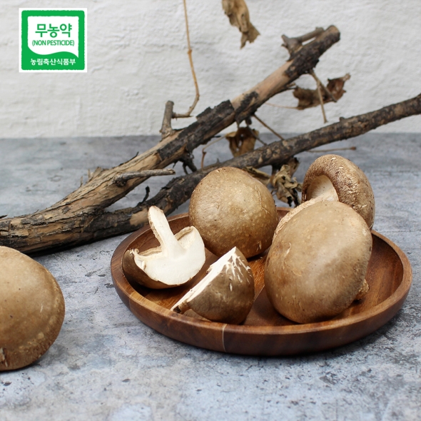 예산청년농부의 국내산 무농약 생표고버섯 1kg