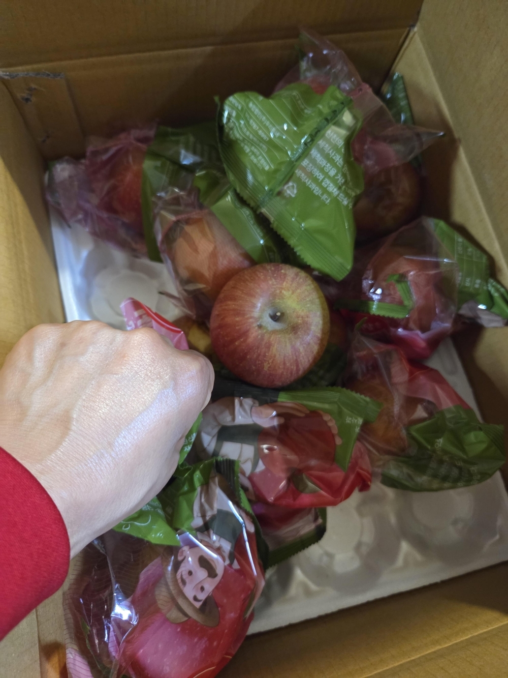 [에이플] 껍질째 먹는 안동 세척사과 3kg/15-18과