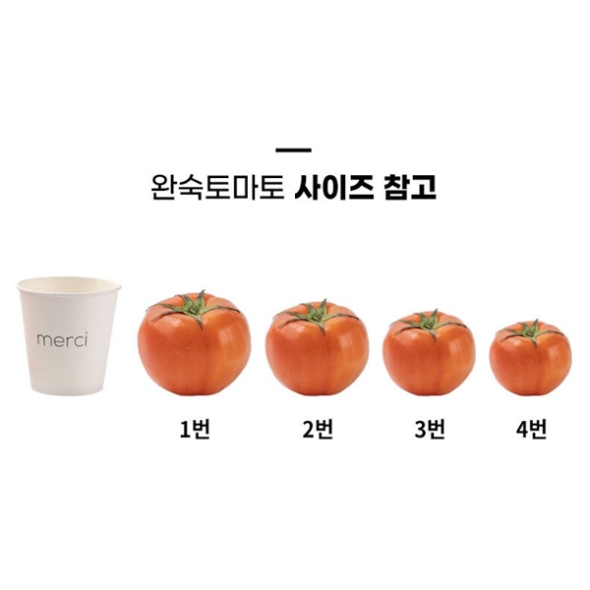 (최켓)완숙토마토 1kg~5kg
