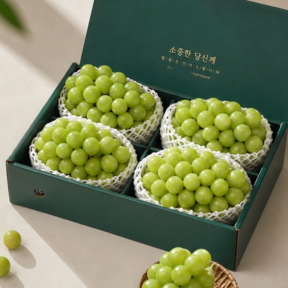 [오커최고] 국내산 샤인머스켓 샤인머스캣 선물세트 3~4kg