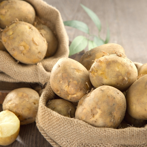 [농협] 한아름드린 채소3종 감자2kg(특)+고구마2kg(특상)+흙당근1kg(상)