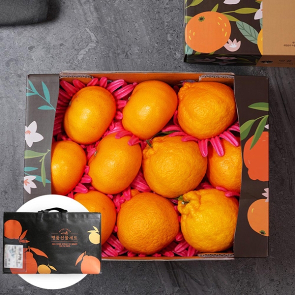 [제주 만감류] 혼합과일세트(천혜향+한라봉 총10-14과) 3kg 