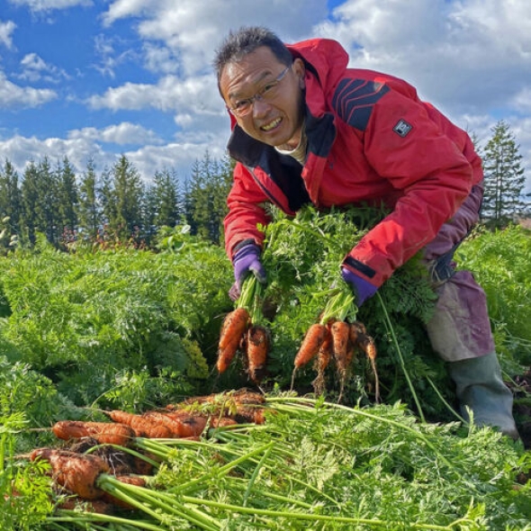 [화산토] 제주 구좌 흙당근 [3kg-10kg]
