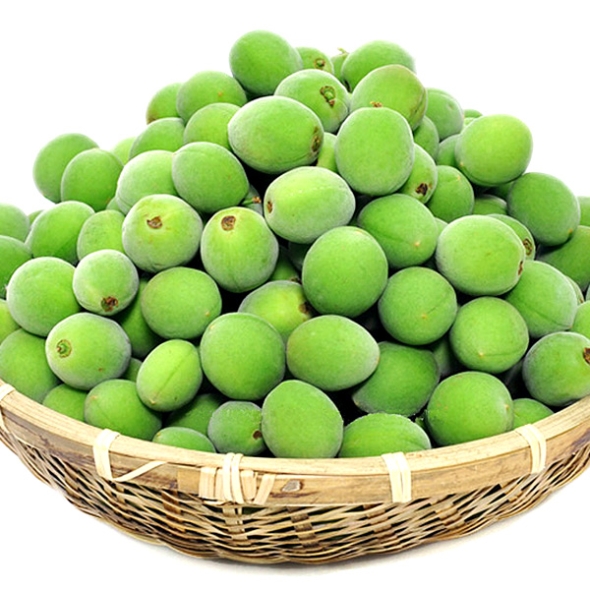 [농협공판장] 정성드린 순천 초록 매실 5kg(대/특대/왕특) /6월1일 순차출고