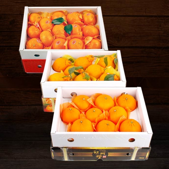 [명절특선] [제주향기] 탐나는 한라봉/천혜향/레드향 혼합/묶음세트 상품전(20품목)