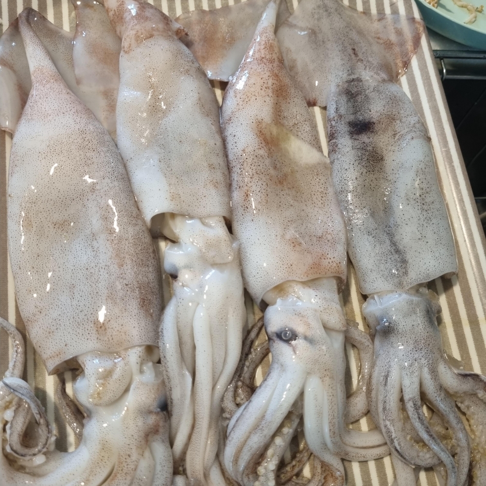 [水] 이순신수산 국내산 신진도 내장가득 통오징어 중 800g 대 1kg 조업당일 급속냉동