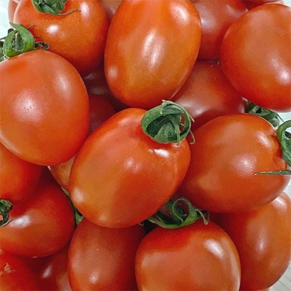 [신한카드 할인] 대추 방울토마토